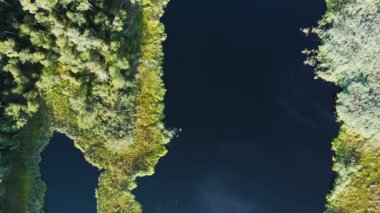 Bataklık ve göl üzerinde hava manzarası. Yukarıdan bataklık manzaralı, İHA çok renkli bataklık dokusunun üzerinde uçuyor..