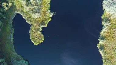 Bataklık ve göl üzerinde hava manzarası. Yukarıdan bataklık manzaralı, İHA çok renkli bataklık dokusunun üzerinde uçuyor.