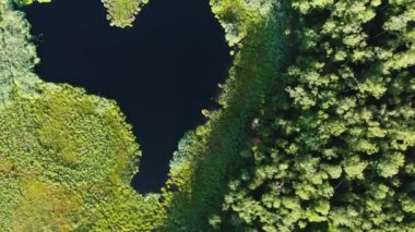 Bataklık ve göl üzerinde hava manzarası. Yukarıdan bataklık manzaralı, İHA çok renkli bataklık dokusunun üzerinde uçuyor..