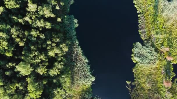 Вид Повітря Марсленд Озеро Болото Вид Зверху Безпілотник Літає Над — стокове відео