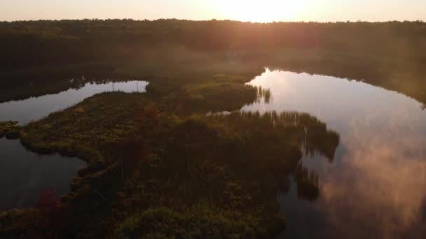 Brouillard Léger Dessus Lac Lever Soleil Matin Brumeux Sur Lac — Video