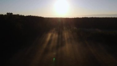 Güneşin doğuşunda sisli çam ormanlarının üzerinde uçuyor. Güneş ışınları taze bir sabah ağaçların arasından geçiyor. Sis, güneş tarafından aydınlatıldı. Ufuk çizgisine kadar büyülü bir sis var. Hava görüntüsü