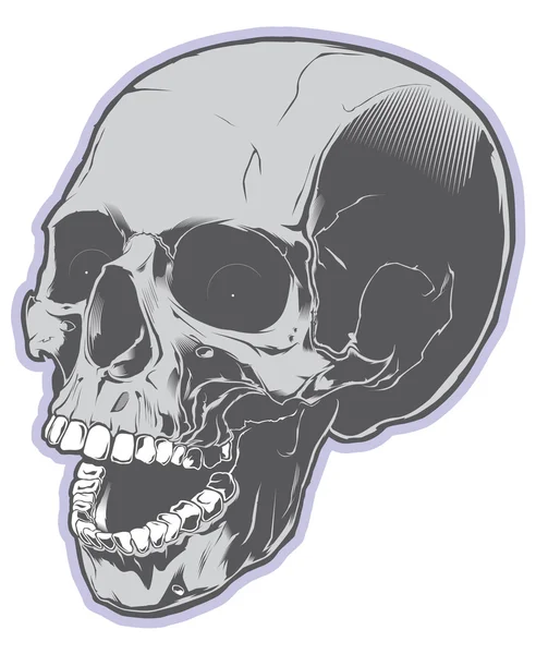 頭蓋骨 — ストックベクタ