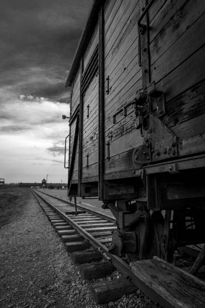 Auschwitz Toplama Kampı, Polonya: Auschwitz, İkinci Dünya Savaşı ve Yahudi Soykırımı sırasında işgal altındaki Polonya 'da Nazi Almanyası tarafından işletilen 40' tan fazla toplama ve imha kampı kompleksi idi..