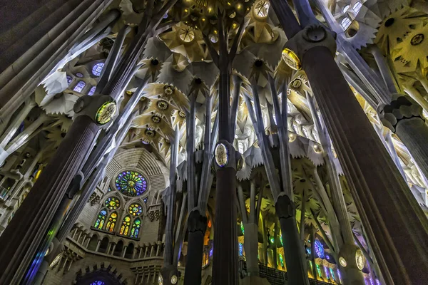 Baslica de la Sagrada Famlia, Barselona, İspanya. İç kısımdaki sütunlar eşsiz bir Gaud tasarımı. Yüklerini desteklemek için dallanmalarının yanı sıra sürekli değişen yüzeyleri çeşitli geometrik formların kesişmesinin sonucudur.. 