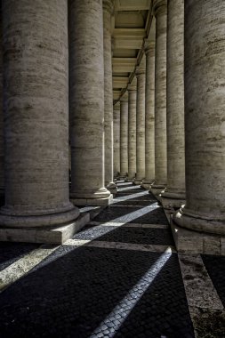 St. Peter Meydanı dünyanın en büyük meydanlarından biridir. Vatikan 'da, Aziz Peter Bazilikası' nın ayaklarında yer alır. Meydanın inşası 1656 ve 1667 yılları arasında Papa XII. Alexander 'ın desteğiyle gerçekleştirildi..