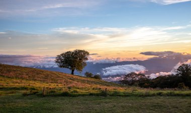 Gün batımında dağda bir ağaçla manzara