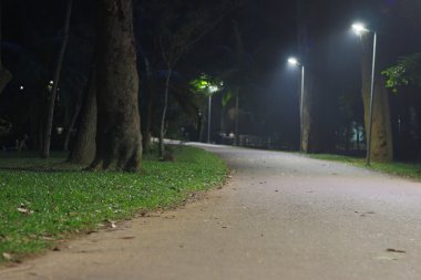 Ibirapuera Parkı gecede