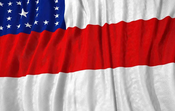 Corrugated brazilian state amazonas flag