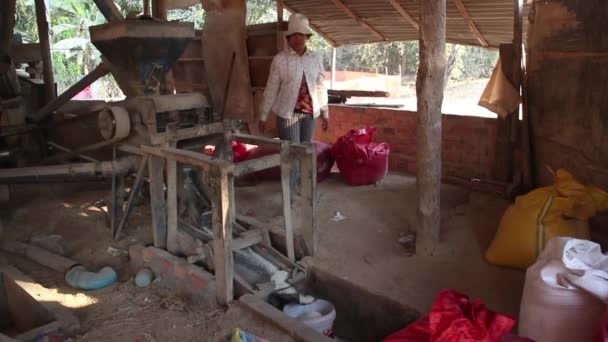 15th April 2016, PHNOM PENH, CAMBODIA:WS vintage rice mill in rural Asia with female workers — Stock Video