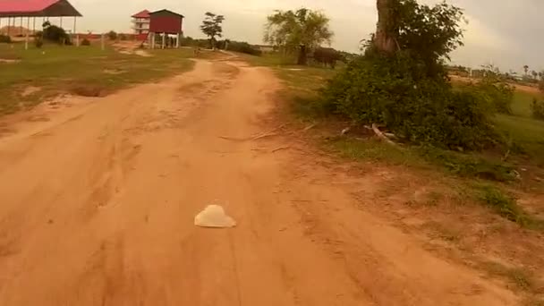 SIEM REAP, CAMBODIA - CIRCA LUGLIO 2016: Action cam POV in sella ad un piccolo sentiero in un campo in Asia, passando per il bufalo — Video Stock