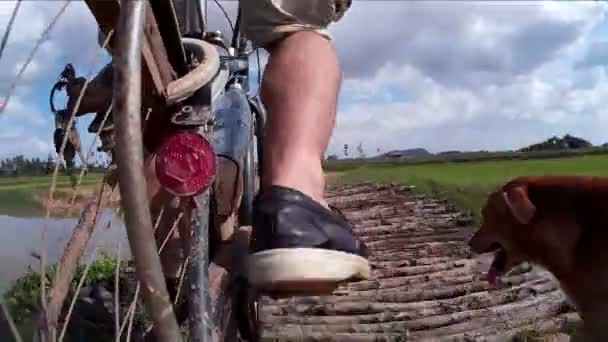 Siem reap, Kambodscha - ca. Juli 2016: Action-Cam Asien-Radfahren: Auf Feldweg zur Holzbrücke - freundlicher Hund kommt an — Stockvideo