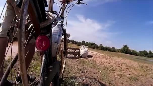 Siem Reap, Cambodia - Circa juli 2016: Bakre Visa action cam 60 fps Pov Asien - wllk cykel nära vit ko i fältet — Stockvideo