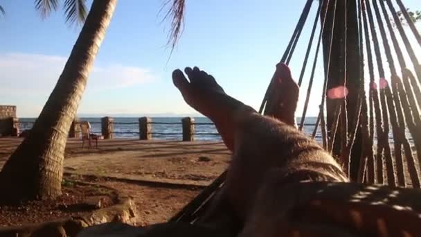 Medium view person in hammock crosses legs with sea view and palm tree visible at left — Stock Video