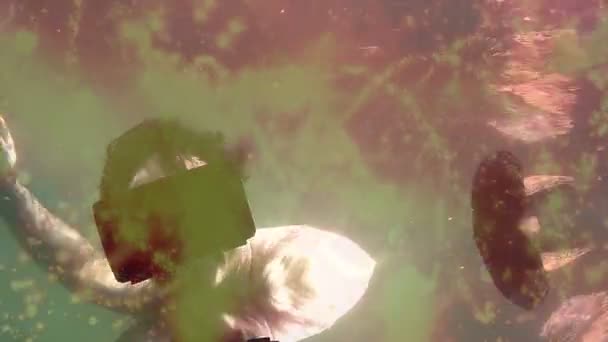 Vue MCU sous-marine surréaliste du gars avec casque virtuel VR 