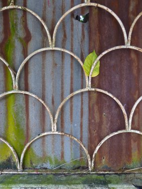 Çelik Panjur ölçek şeklindeki kapana kısılmış yeşil paslı çelik kaplama