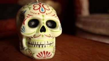 Dolly Kafatası ile hareket: Sığ Dof dolly dışarı ve geri