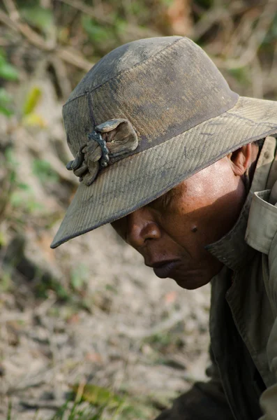 Profile of Rice Field Worker Harvesting Rice in Southeast Asia — Stock Photo, Image