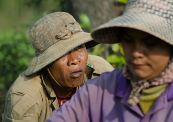 PROVINCIA KANDAL, CAMBOYA - 31 DE DICIEMBRE DE 2013 - Trabajadoras del campo de arroz en Camboya —  Fotos de Stock