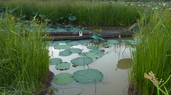 Bateau en bois semi-submergé dans un étang de lis en Asie du Sud-Est — Photo