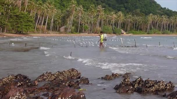 그 해 초 농부의 뱀 섬, 캄보디아-11 월 2013 년경: 넓은 총 해안 Wades — 비디오