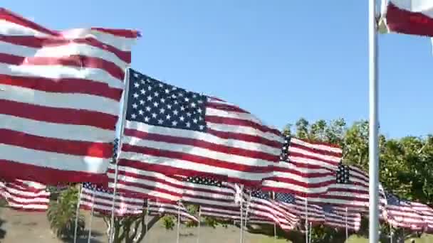 Paseo Estabilizado Cientos de Banderas Americanas (Parte # 2 ) — Vídeo de stock