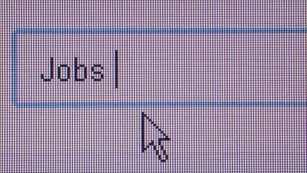 JOB HUNTING ONLINE - Tipos de utilizadores "Empregos em linha" — Vídeo de Stock