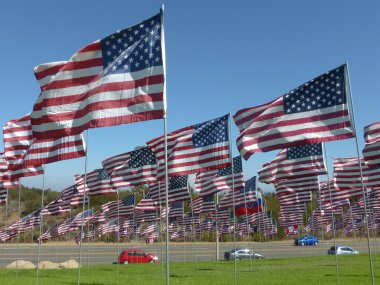 Amerikan bayrakları yüzlerce görünümünü Güney çimenli bir çimenlikte