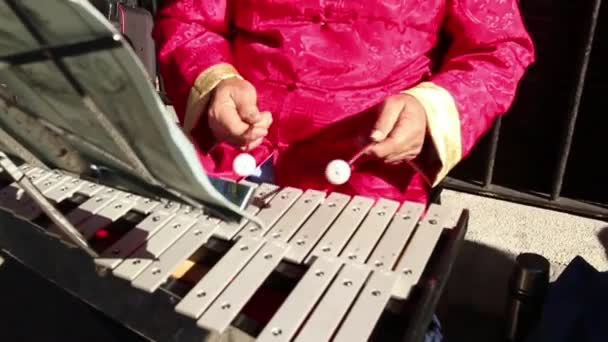 60 кадрів в секунду повільний рух реверс: китайський ксилофон — стокове відео