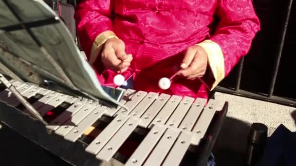 60 кадров в секунду: китайский Xylophone Player — стоковое видео