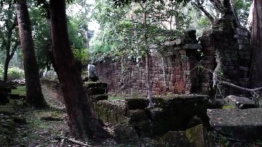 Antik Tapınağı (Angkor) - kırık avluya ağaçlarından Pan