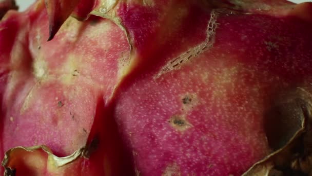 EXOTIC ASIAN DRAGON FRUIT: Macro Dolly CU (left to right)  skin of Dragon fruit — Stock Video