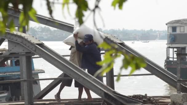 April 26, 2014 - Rangoon, Burma: Arbetstagare drag varor över en landgång, sedd genom träden — Stockvideo