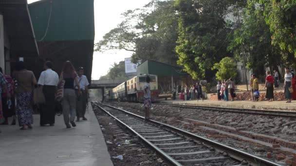 TRAIN - LOCOMOTIVE : Vue d'ensemble du train ensoleillé arrivant sur le quai lointain — Video