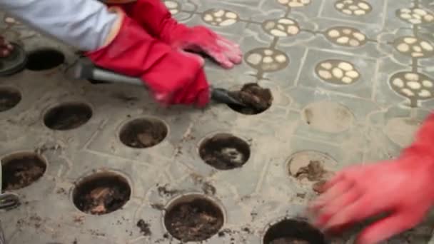 Plan moyen gros plan d'un travailleur en Asie creusant des trous avec un petit s — Video