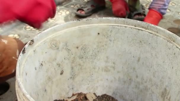 Μεσαίου χαμηλή γωνία των εργαζομένων στην Ασία σκάψιμο τρύπες στο πεζοδρόμιο με μικρό shov — Αρχείο Βίντεο