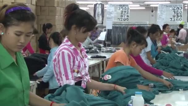 PHNOM PENH, CAMBODIA-13 DE SEPTIEMBRE DE 2012: Fábrica Industrial Textil: Gran tiro de trabajadores que clasifican sudaderas — Vídeo de stock