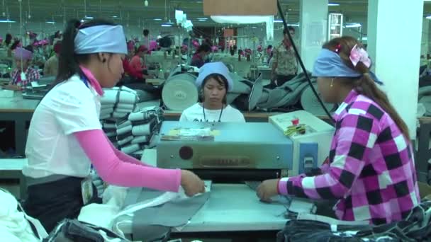 Πνομ Πενχ, Καμπότζη-Σεπτέμβριος 12, 2012: Ασιάτης βιομηχανία ενδυμάτων εργοστάσιο: ws οι εργάτες τροφοδοτούν το ύφασμα σε κυλίνδρους — Αρχείο Βίντεο