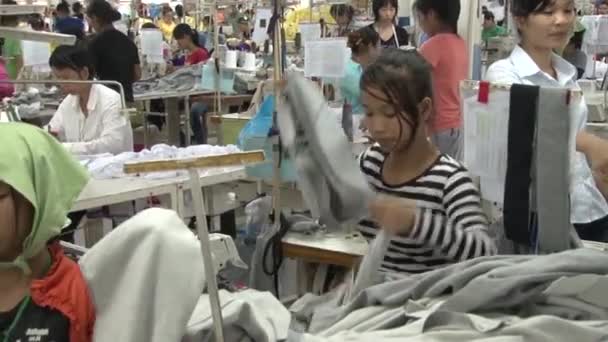 Fábrica de prendas textiles: Pan a través de trabajadores que clasifican sudaderas — Vídeos de Stock