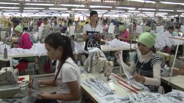 Fábrica de prendas de vestir: Trabajadoras con supervisor observando — Vídeos de Stock