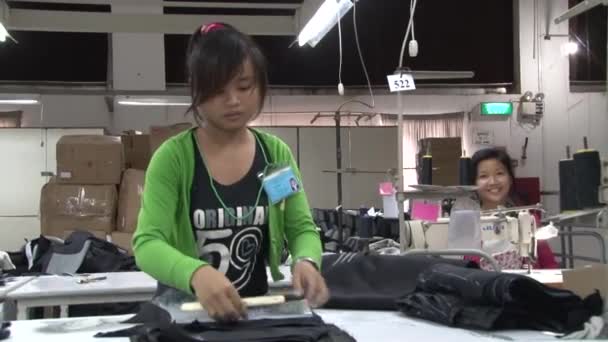 Textile Garment Factory: Garment worker applies pattern to fabric — Stock Video