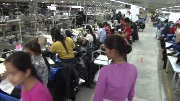 Trabajadores textiles de la fábrica de prendas de vestir: movimiento de ángulo alto con supervisor a través de pasillos — Vídeos de Stock