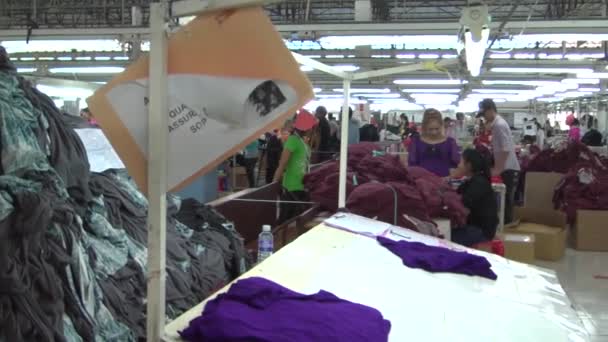 Textiel kledingfabriek werknemers: WS pan aan werknemer sorteren paarse kleding — Stockvideo
