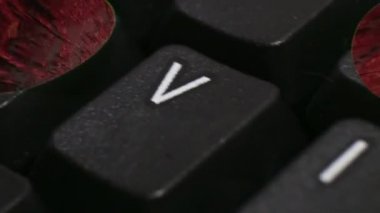 'Bilgisayar virüs' - Ultra makro Ecu Dolly taşıma destekte ile hareketli arka plan