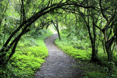 datong jiuliao nehir doğa yolu