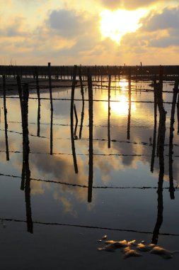 Changhua Tayvan deniz manzarası