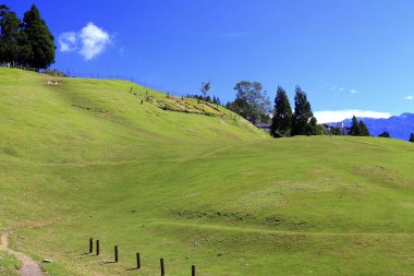 Nantou çim çiftliği yamaçta.