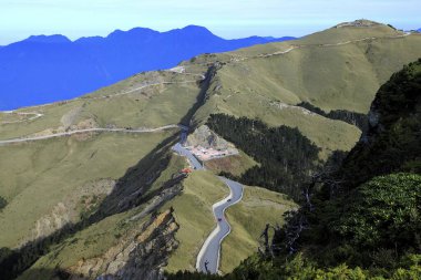Hehuan Dağı Oku bambu otlağı