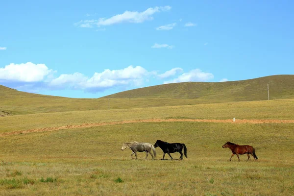 Bergzicht Mongolië — Stockfoto