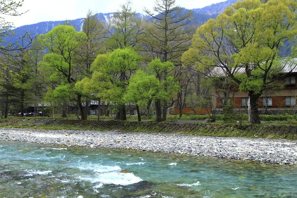 Mountain Forest Azusa River — Stock Photo, Image